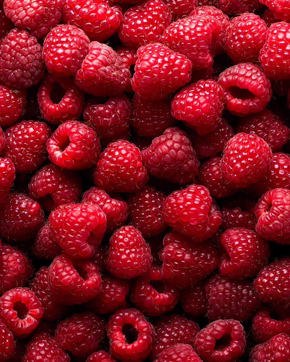 Bulk whole fresh raspberries